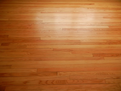 Repaired Red oak Hardwood floor in Iowa City